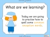 Common Exception Words - Set 1 - Year 1 Teaching Resources (slide 2/49)